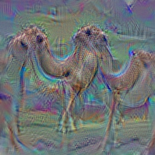 n02437312